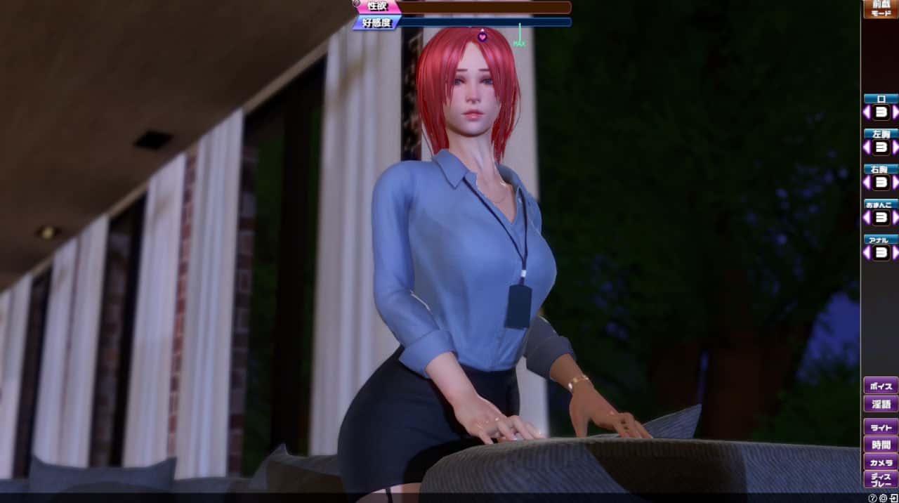 完美女友 PerfectLover +DLC 重制版封面